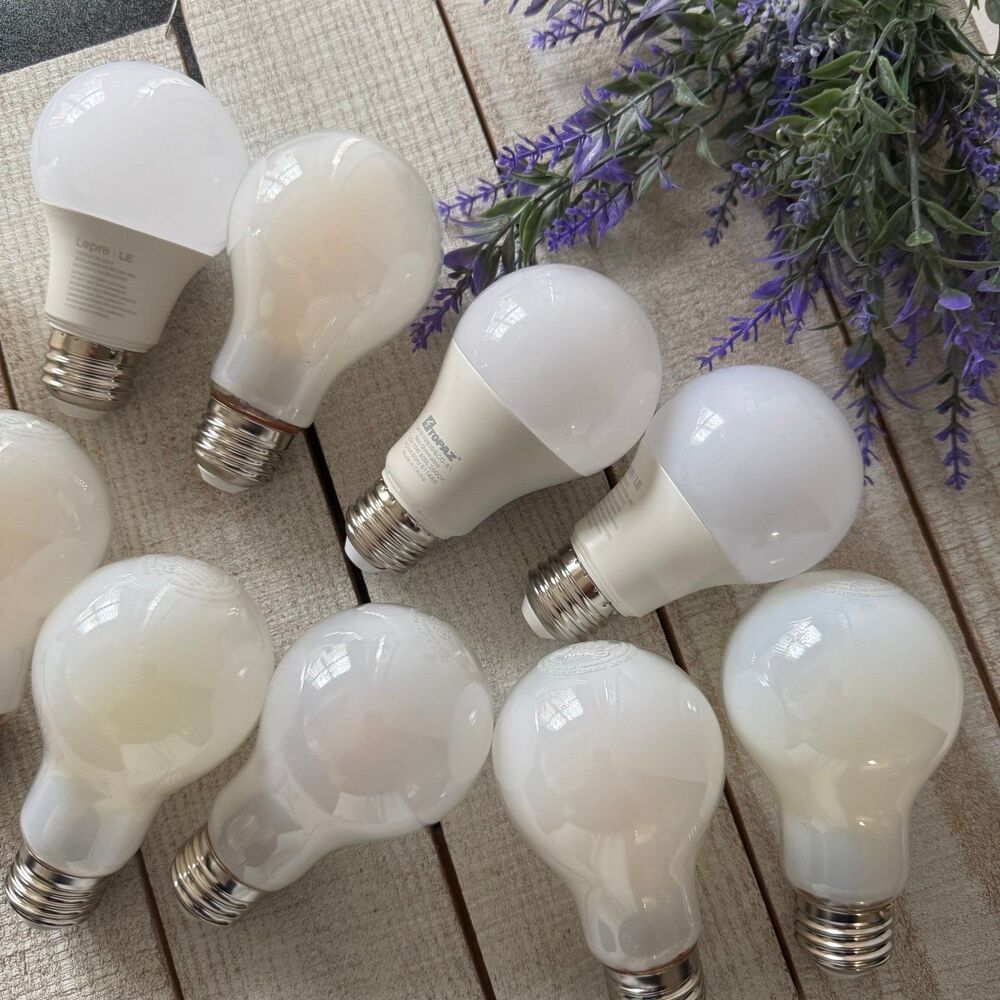 Light Bulb Bundle - Picture 2 of 3